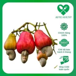 Hạt dinh dưỡng Nutrihealthy - Hạt điều xanh